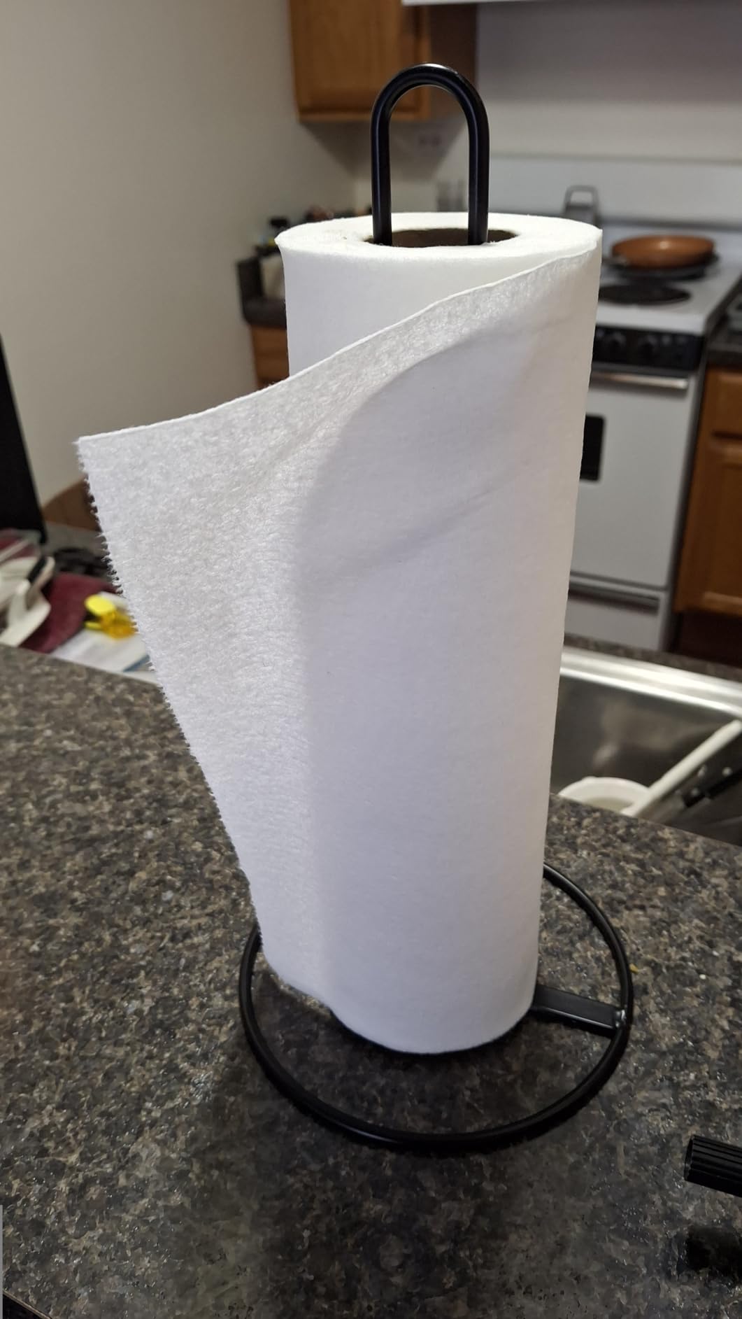 Gold Paper Towel Holder Countertop, OBODING, Kitchen Paper Towel Stand Holder for Kitchen Organization and Storage, Paper Towel Holders for Standard and Large Size Rolls (Gold) customer photo 2