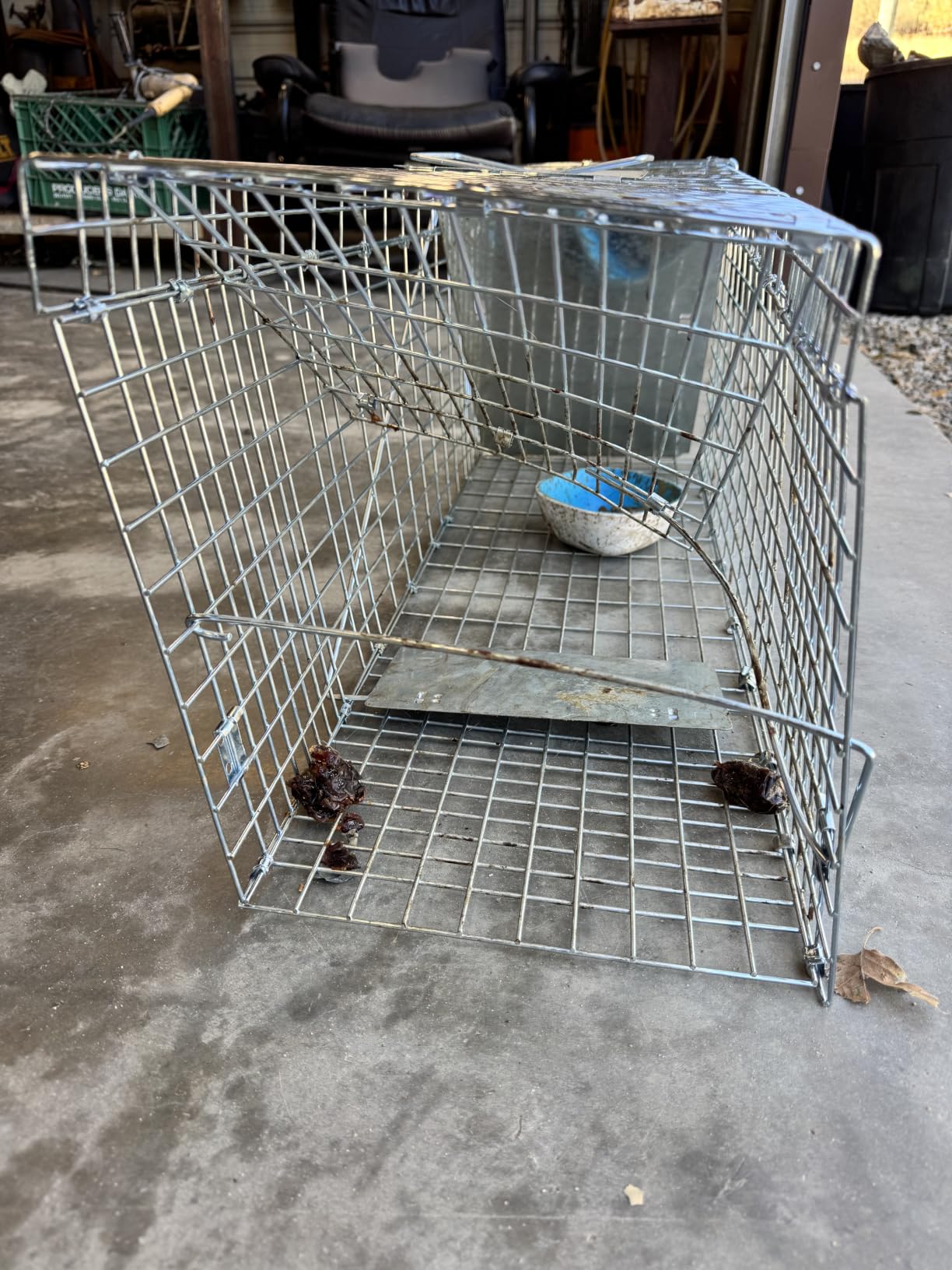 Humane Way Folding 50 Inch Live Humane Animal Trap - Safe Traps for All Animals - Dogs, Raccoons, Cats, Groundhogs, Opossums, Coyote, Bobcat - 50