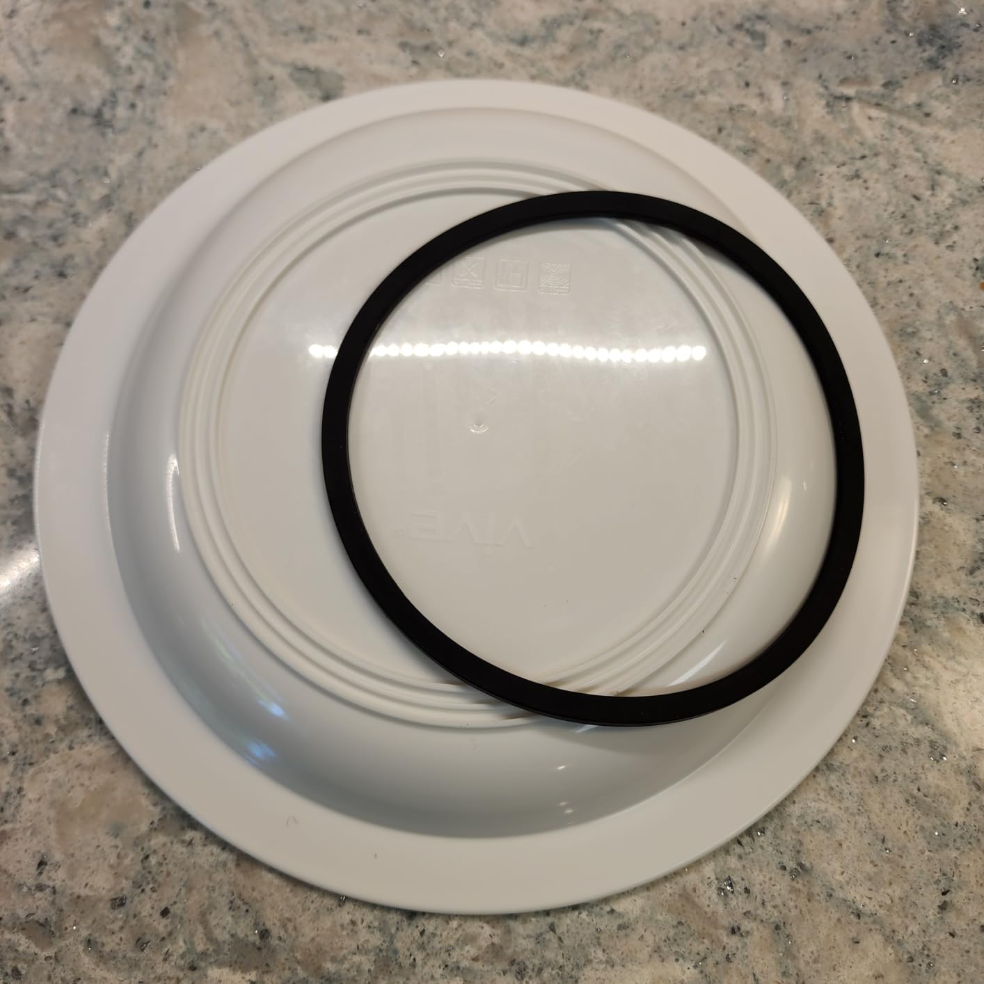 Vive Spill-Proof Scoop Plate, 9