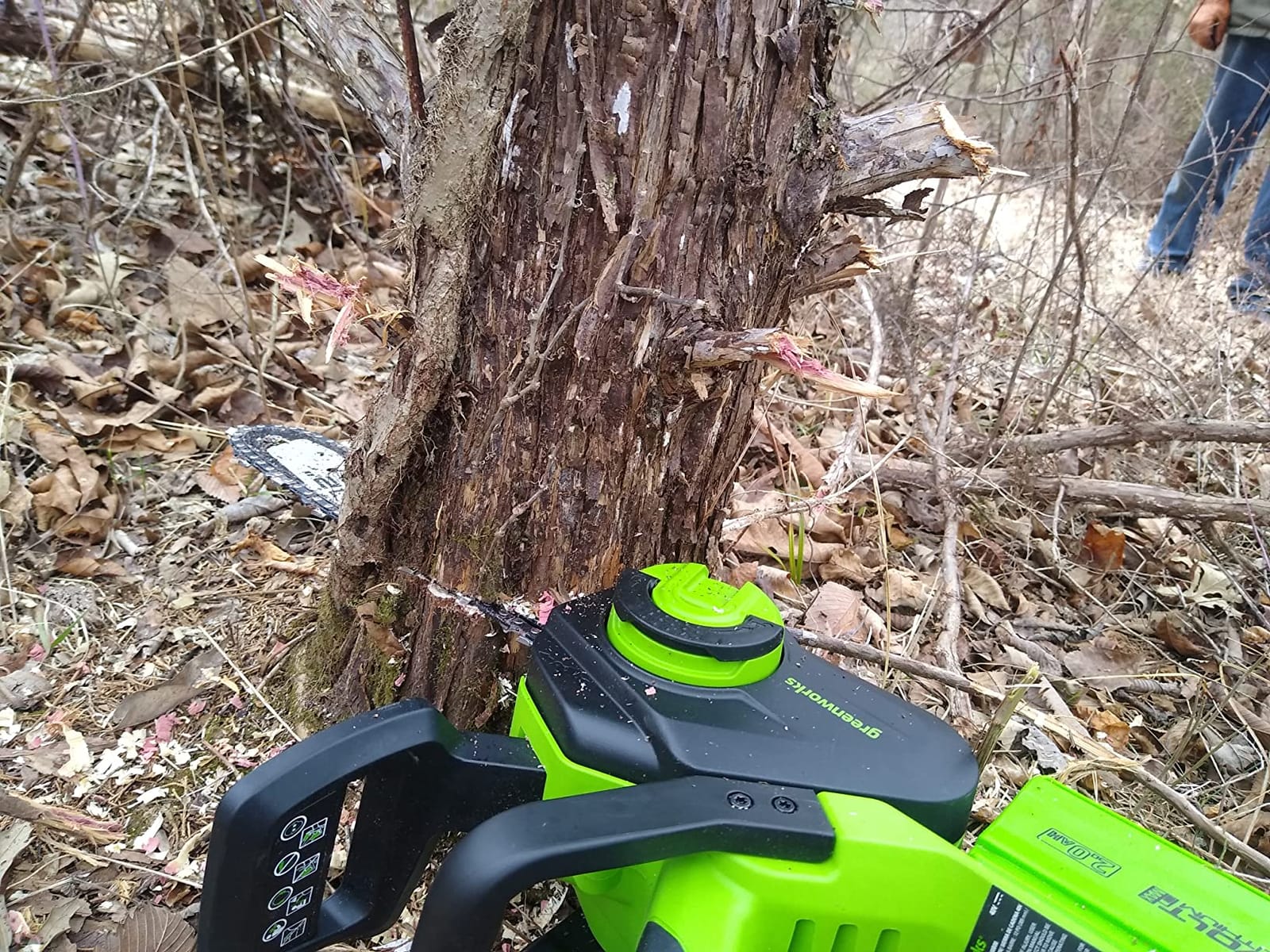 Greenworks 40V 12 in Cordless Electric Chainsaw, 2.0 Ah Battery and Charger customer photo 1