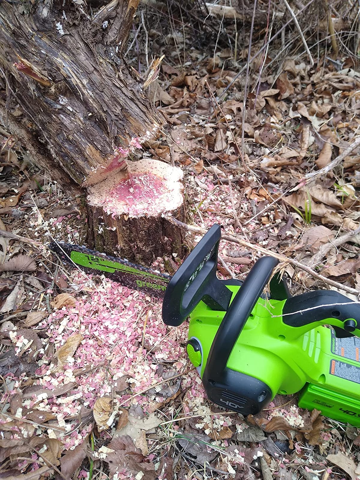 Greenworks 40V 12 in Cordless Electric Chainsaw, 2.0 Ah Battery and Charger customer photo 2
