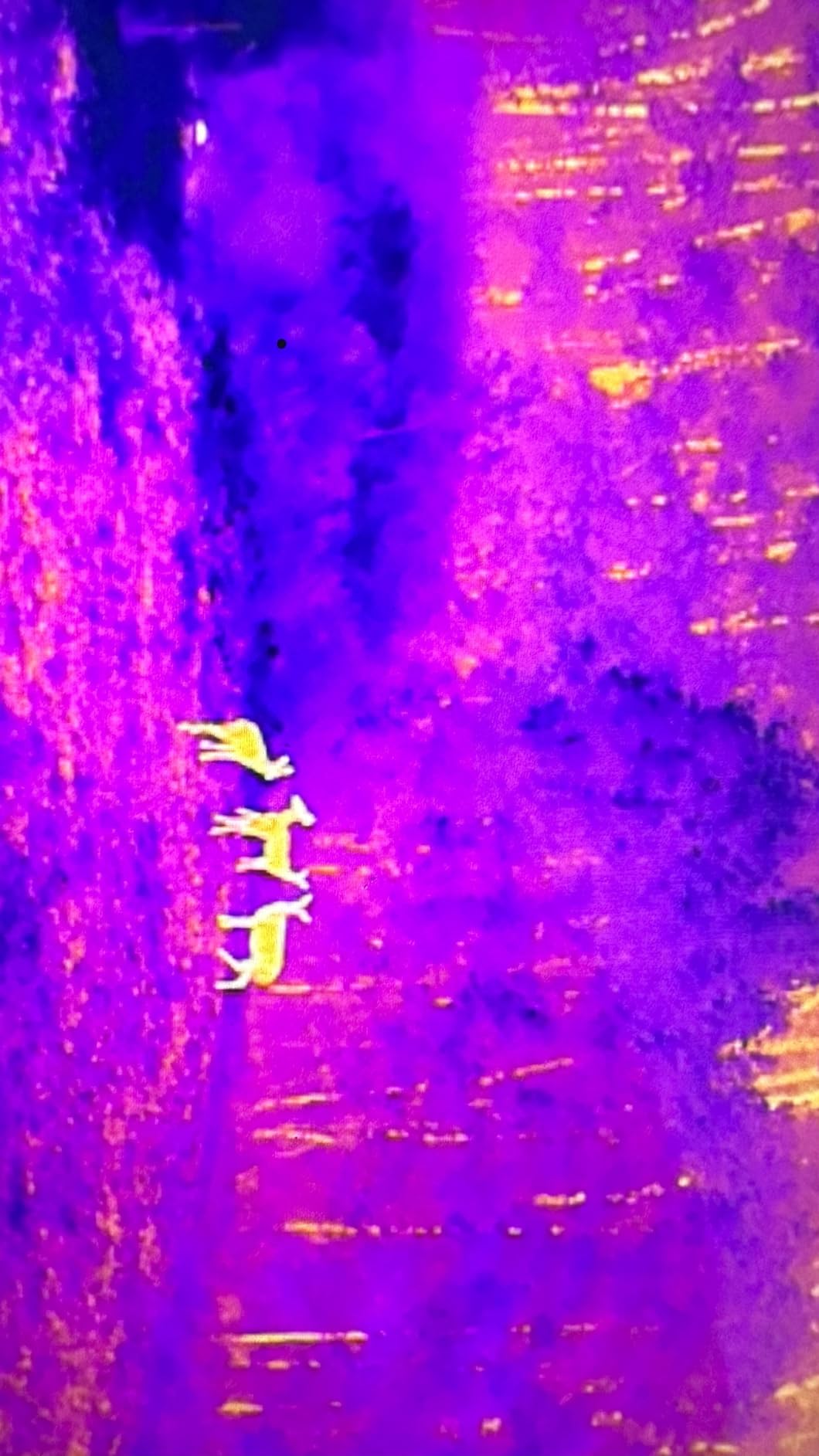 Autel Robotics EVO II Dual 640T V3, 640x512 Thermal Imaging Drone, RemoteID | 0.8'' CMOS&50MP 8K RYYB Sensor,10+ Temp Measurement, D-RI Ranges, Thermal Analysis Tool, for Search/Inspection/Public Safety customer photo 2
