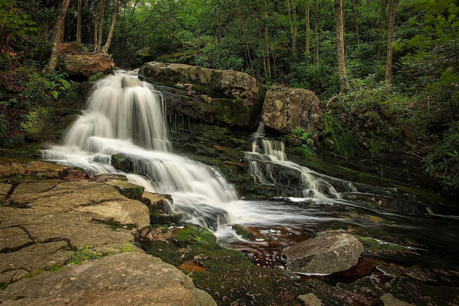 NEEWER 2 in 1 67mm Variable ND & CPL Filter, ND2-ND32 & Circular Polarizer customer photo 1