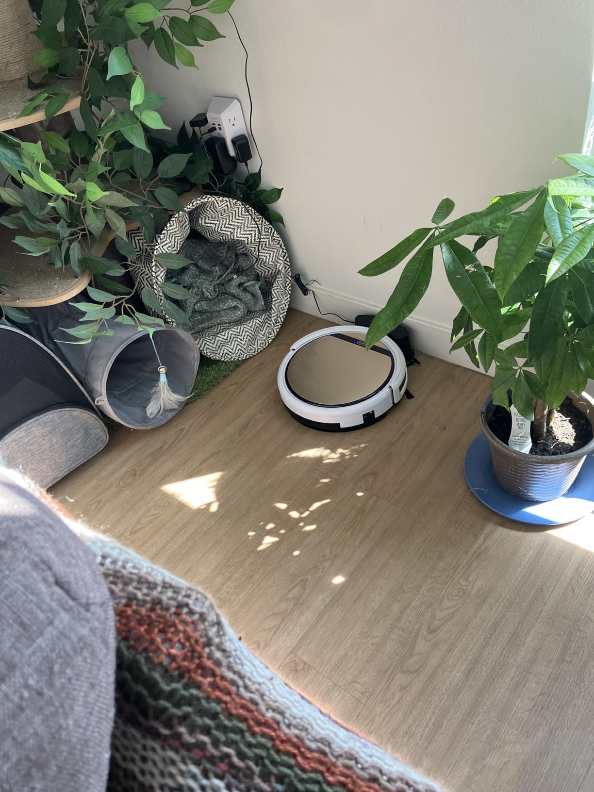 ILIFE V5s Plus Robot Vacuum and Mop Combo customer photo 2
