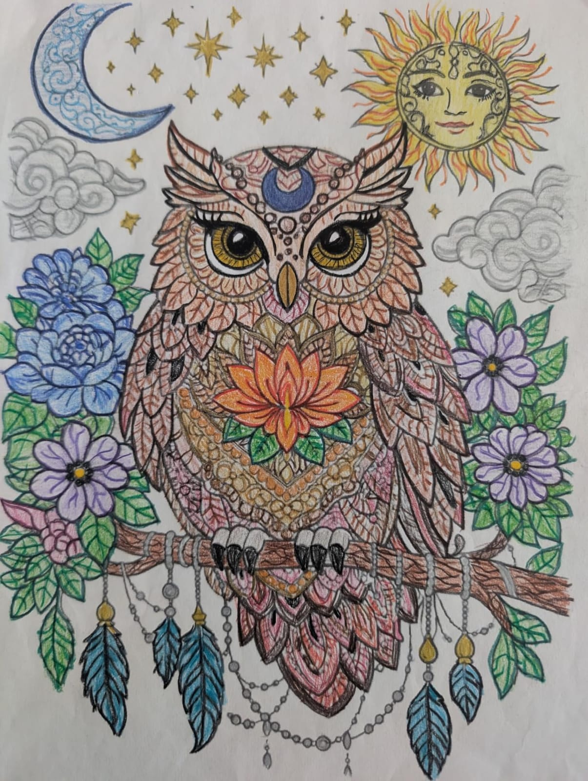 KALOUR 72 Count Colored Pencils for Adult Coloring Books, Soft Core, Ideal for Drawing Blending Shading, Color Pencils Set Gift for Adults Kids Beginners customer photo 2