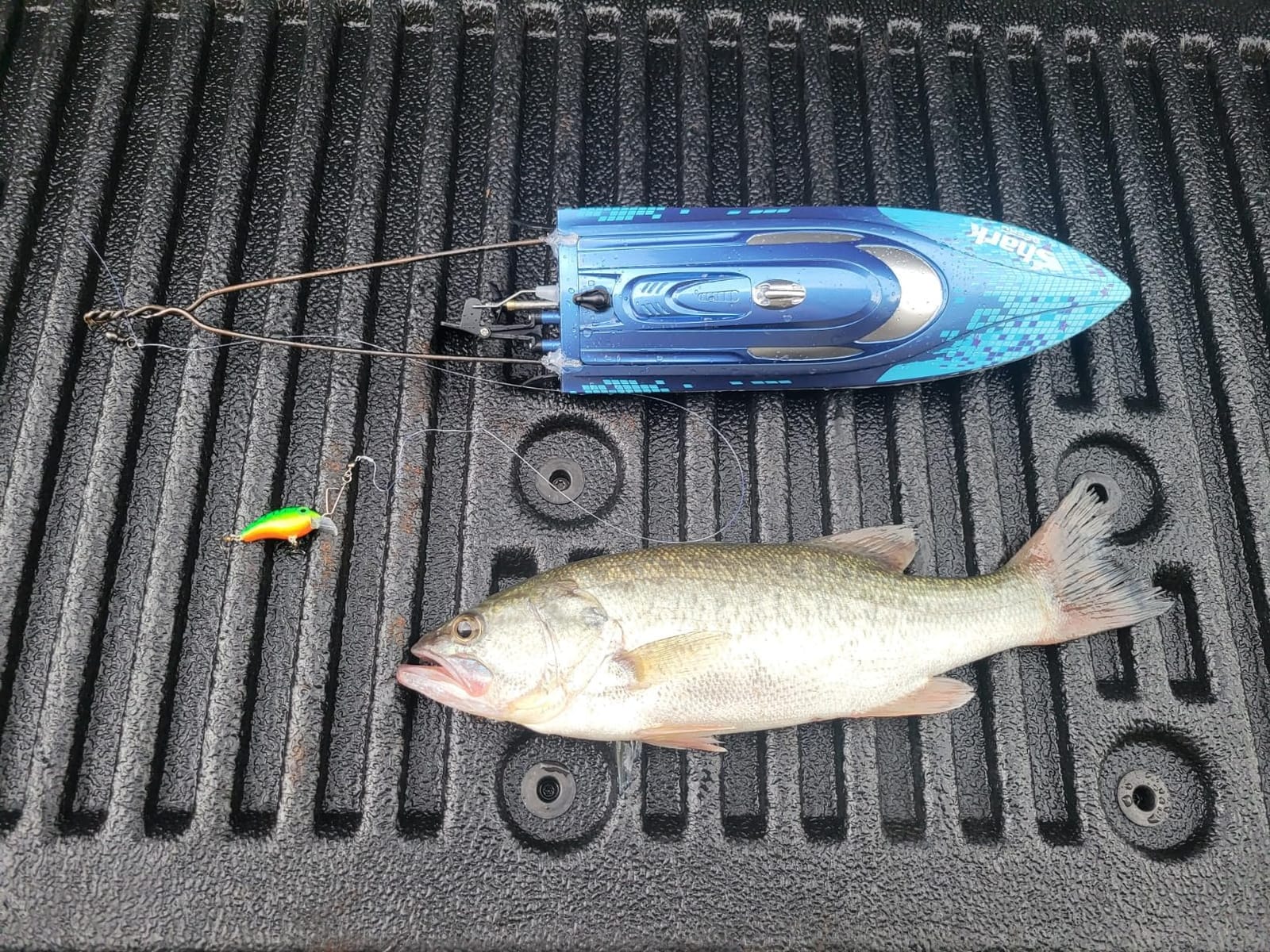 DEERC High-Speed RC Boat, 20+ MPH, Fast Remote Control Shark Racing Boat customer photo 2