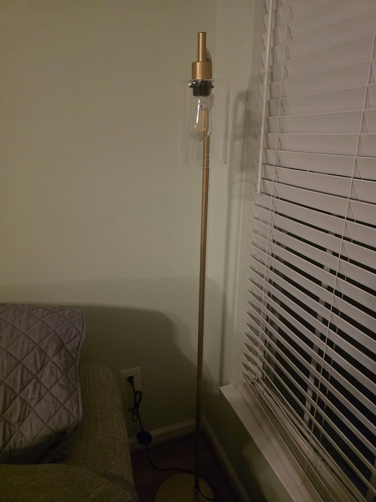 Ziisee Industrial Floor Lamp with Glass Shade - Black, LED Bulbs, Foot Pedal Switch, Easy Assembly customer photo 2