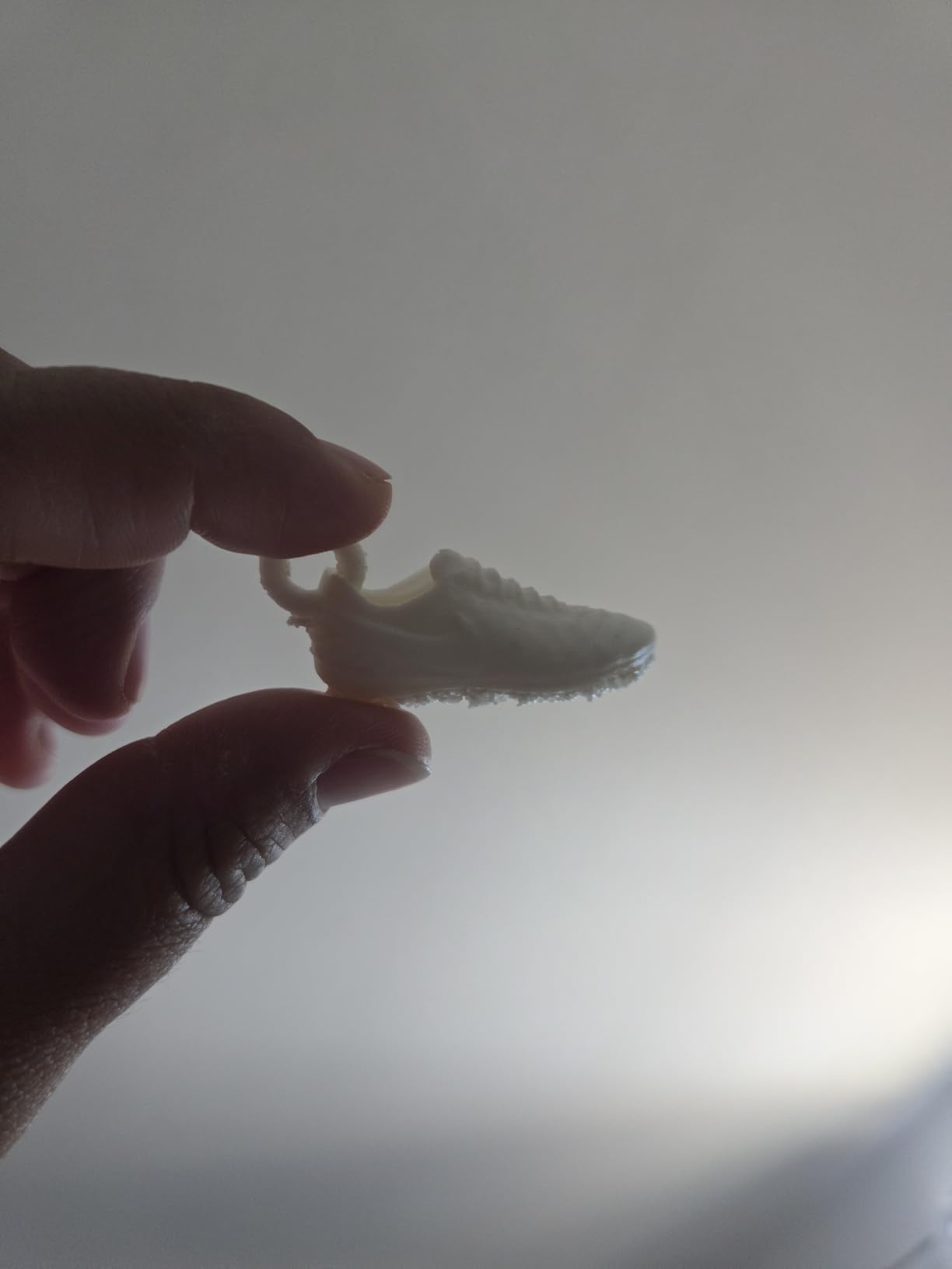 TINA2S Fully Assembled Mini 3D Printer for Kids and Beginners, Starter Kit customer photo 1