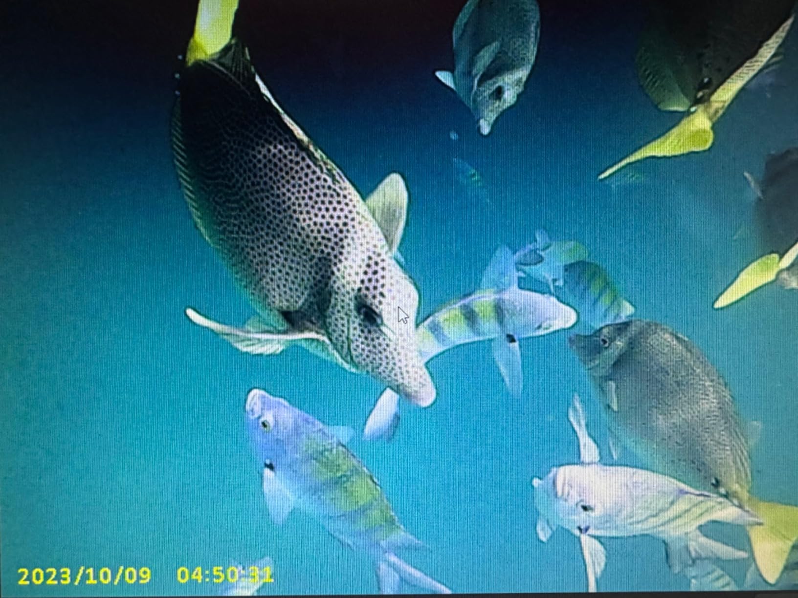 Agoigo Kids Waterproof Camera - Children Underwater Video Digital Camcorder customer photo 2