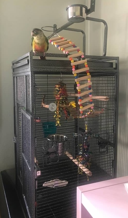 SUPER DEAL PRO 61-inch 2in1 Large Bird Cage with Rolling Stand Playtop Parrot Chinchilla Finch Cage Macaw Conure Cockatiel Cockatoo Pet House Wrought Iron Birdcage, White customer photo 1