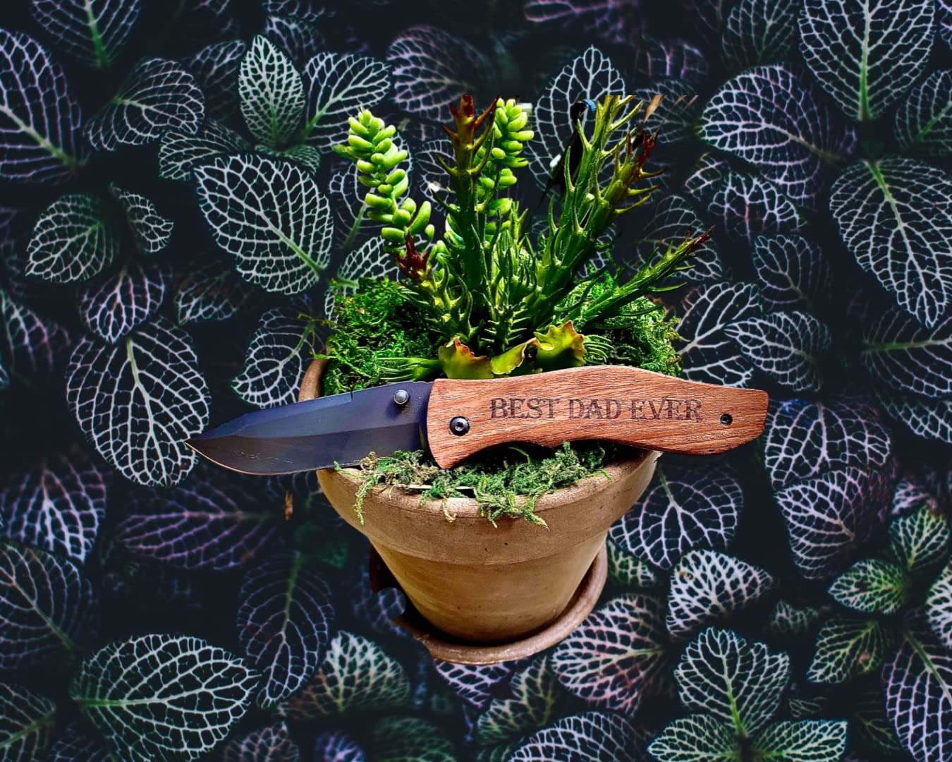 Titorld Gifts for Men Dad Him Fathers Day, Anniversary Birthday Gifts ideas for Boyfriend Husband, Engraved Pocket Knife, Wooden Handle Folding Knife with Wood Box 7.8 Inch customer photo 1