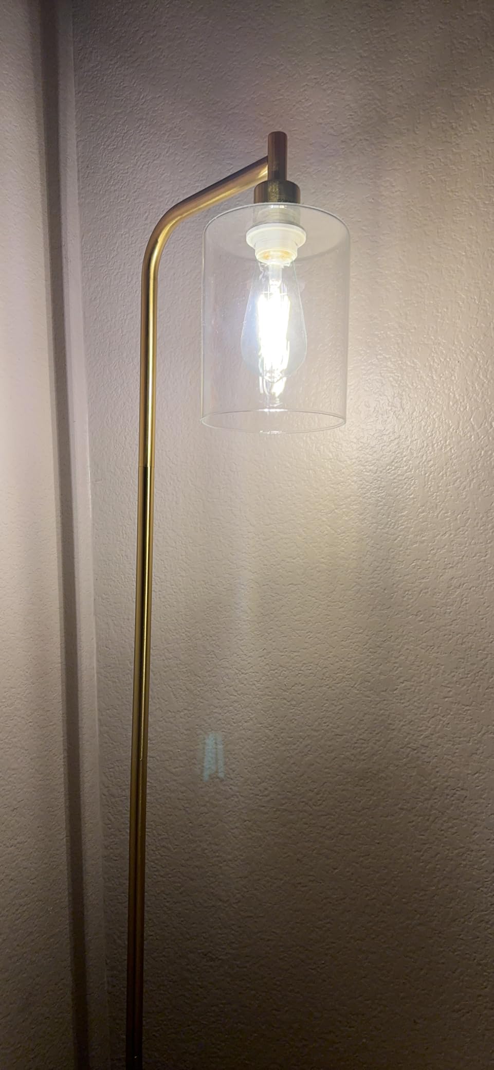 Bosceos Oil Rubbed Brown Industrial Floor Lamp with Hanging Glass Shade customer photo 2