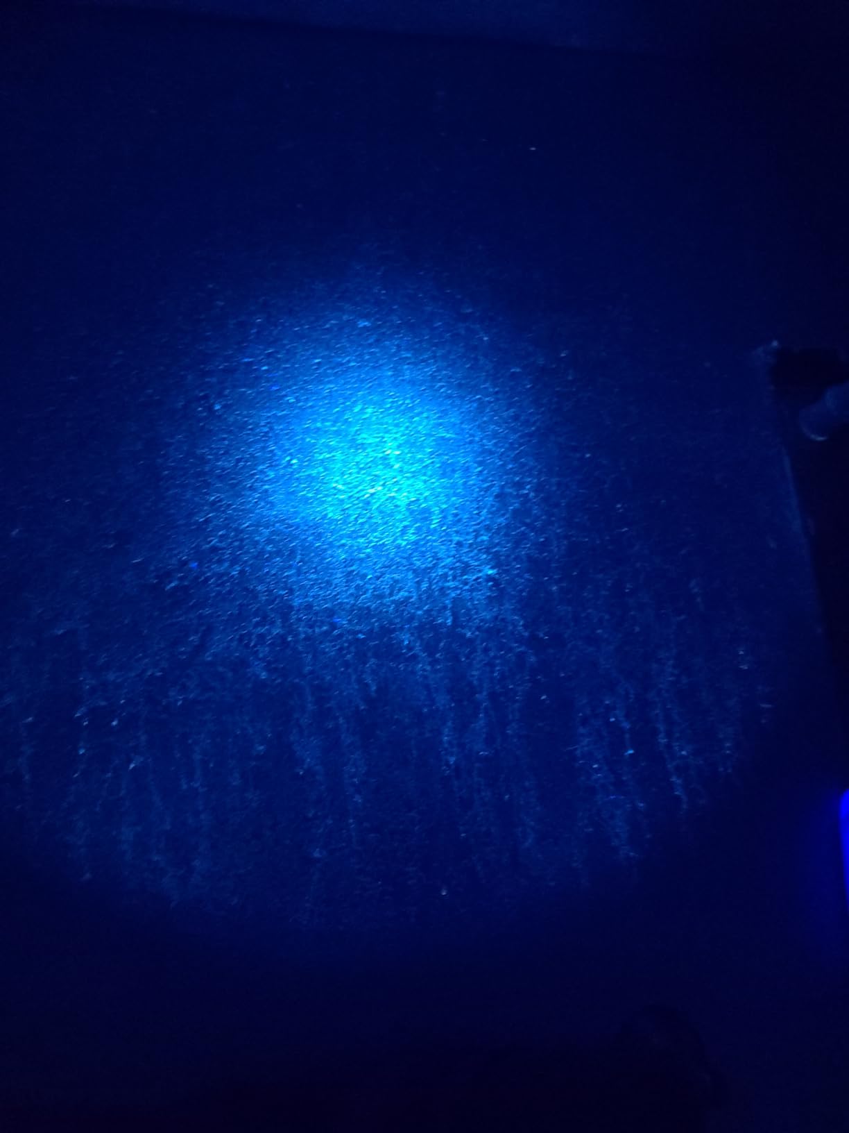 LUXNOVAQ 30W 365nm UV Light USB Rechargeable UV Flashlight with Filter Lens customer photo 2