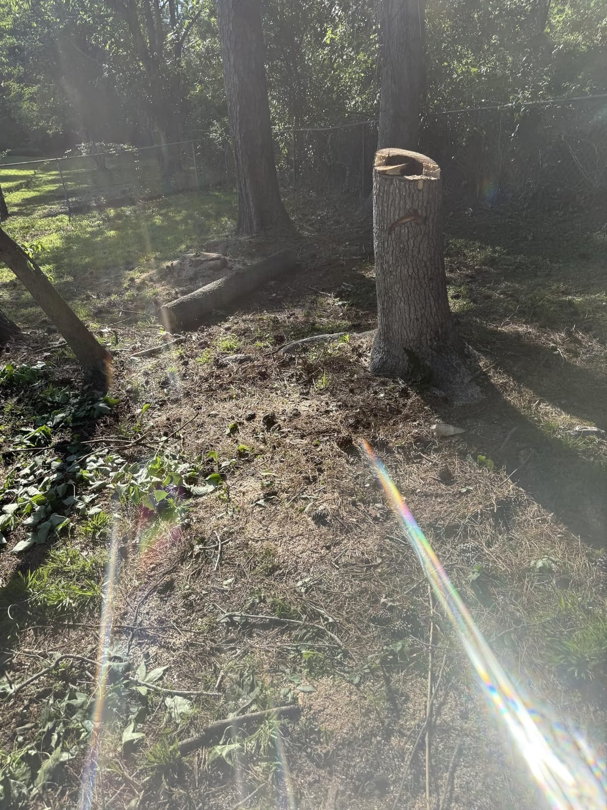EGO POWER+ Chain Saw, 20