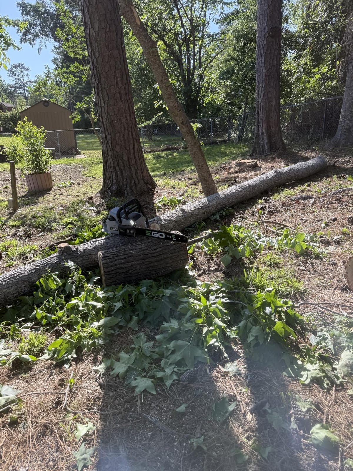 EGO POWER+ Chain Saw, 20
