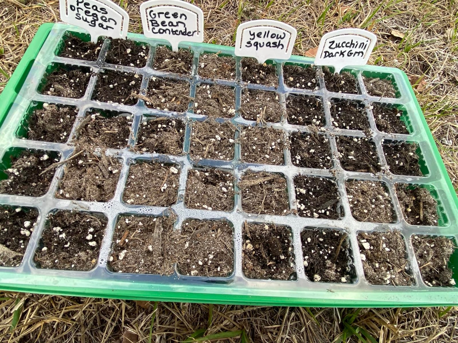 55 Vegetable Seeds Variety Pack - 35,600+ Non-GMO Heirloom Seeds for Planting Vegetables and Fruits in Individual Seed Packets, Home Garden Seeds for Hydroponic, Indoor and Outdoors Gardening customer photo 1