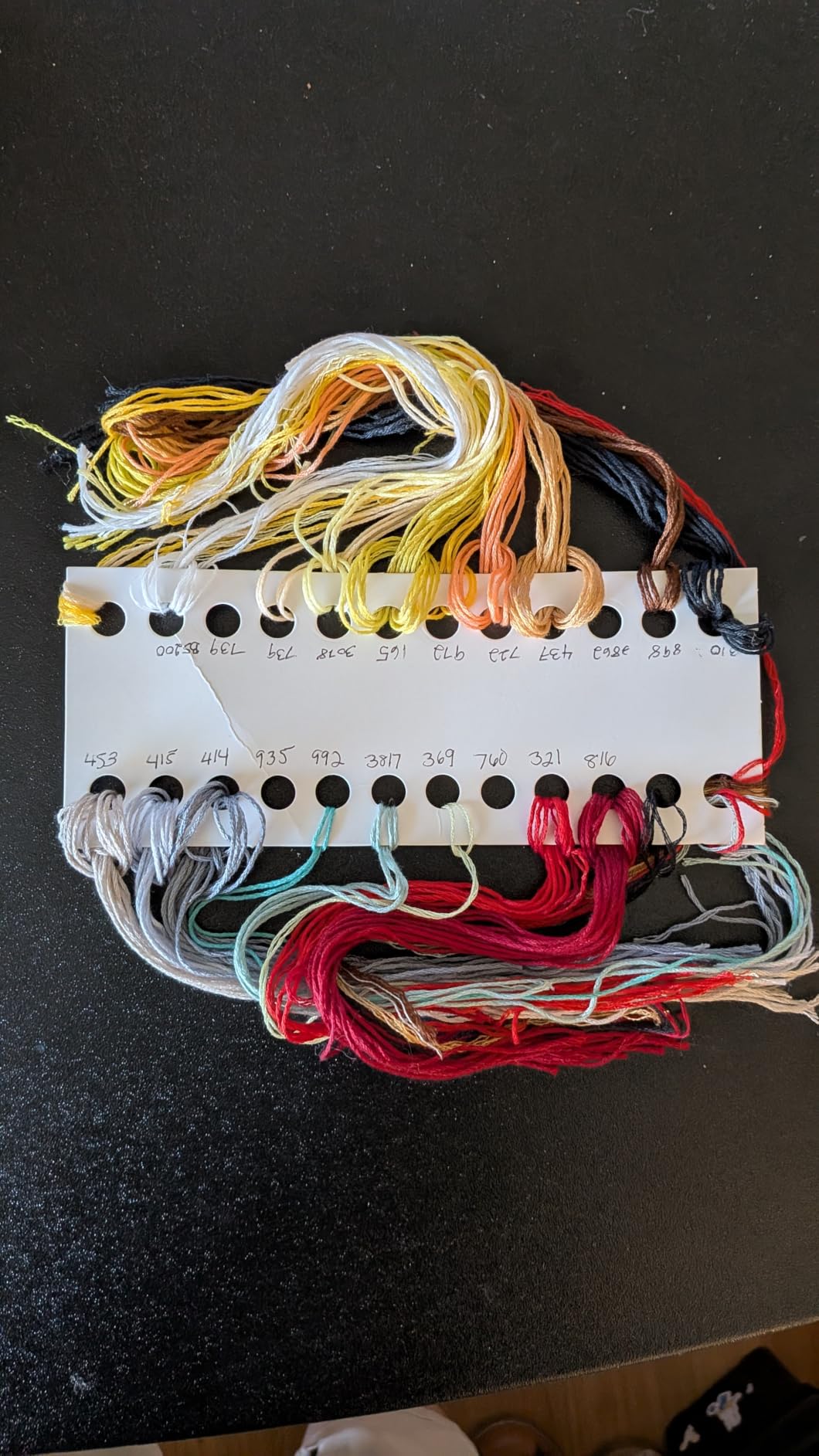 CYANFOUR Embroidery Kit for Beginners with Step-By-Step Guidance & Videos customer photo 2