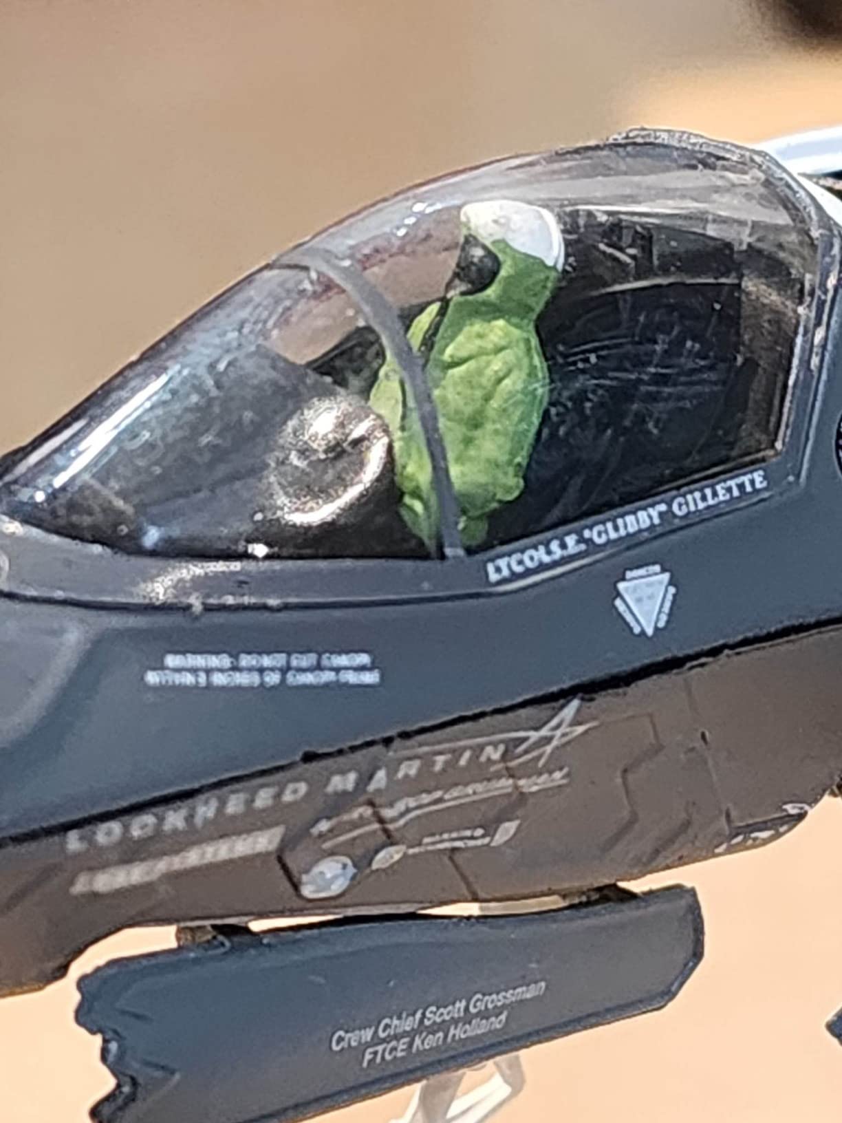NUOTIE 1/72 F-35I Israeli Air Force Stealth Fighter Aircraft Model customer photo 1