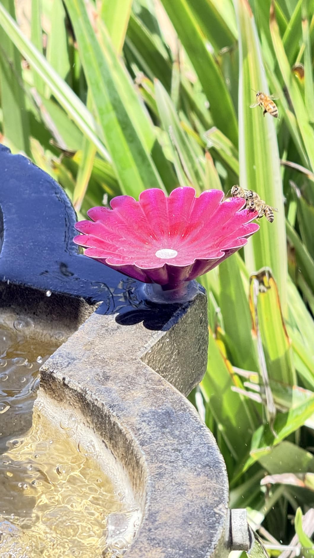 4 Pack Bee Watering Station, Bee Bath for Garden Outdoor Yard Decor customer photo 1