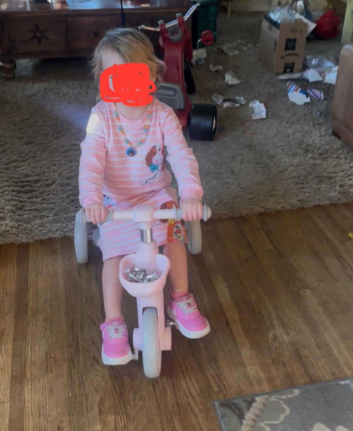 SEREED Colorful Lighting Toddler Tricycle Gift Toy for Ages 2-5 Boys Girls customer photo 2