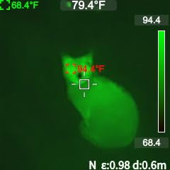 MILESEEY TR10 Thermal Imaging Camera, 192 × 192 IR Resolution, 25Hz customer photo 1