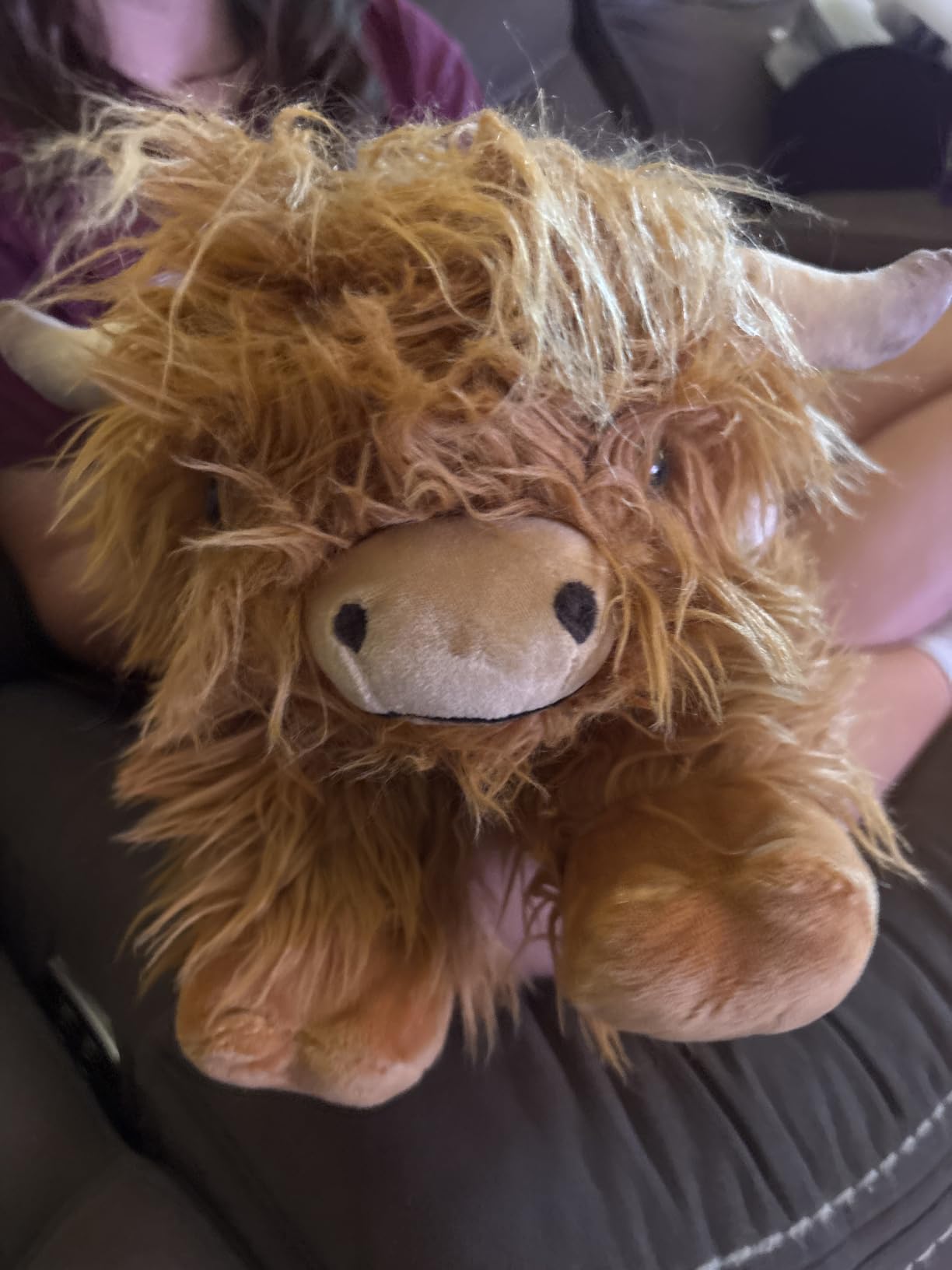 Highland Cow Stuffed Animals, Microwavable Stuffed Animals Heating Pad for Cramps, Pain Stress Relief, Heatable & Coolable Lavender Scented Cow Plush Toy for Anxiety, Women Kid Bedtime Highland Cattle customer photo 2