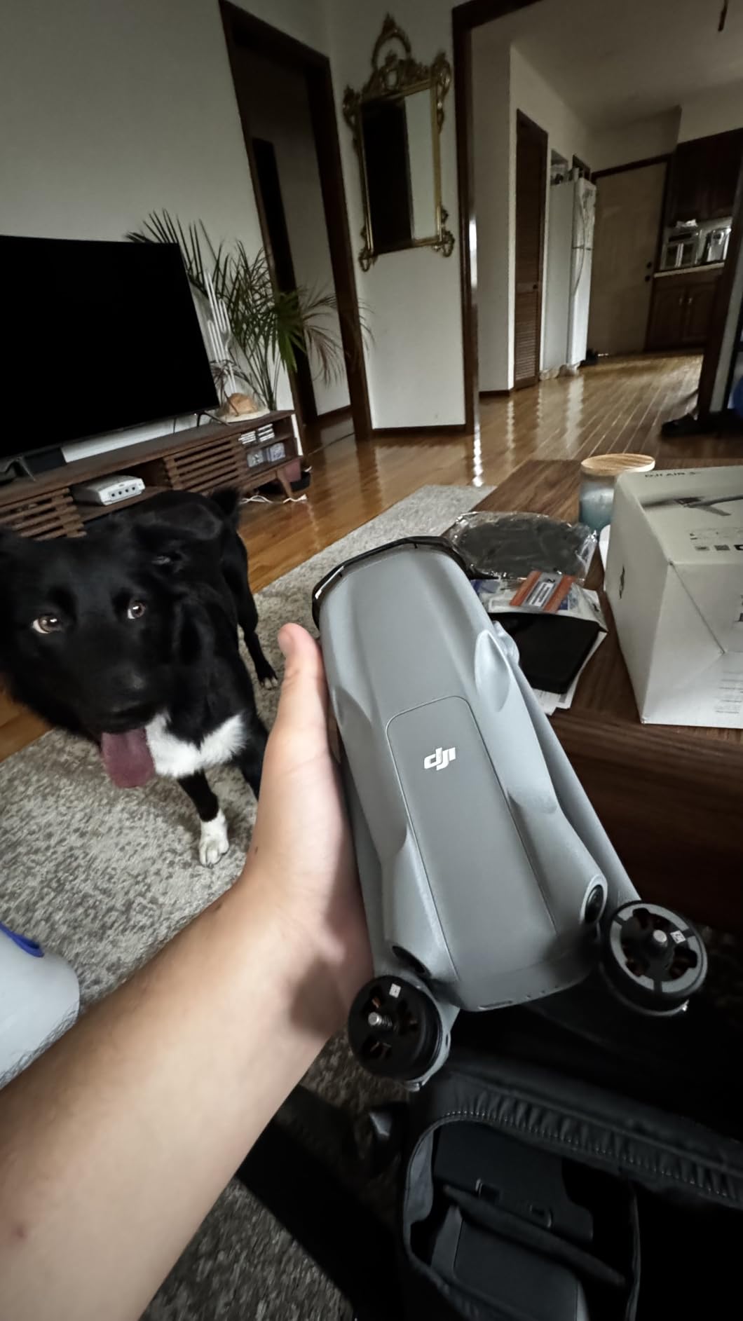 DJI Air 3S Drone with RC 2 Fly More Combo (with Screen) 4K HDR, 45-Min Max Flight Time Bundle with 128GB Memory, Landing Pad, Backpack, CPS 2 Year Warranty, Lens Cleaning Kit and More customer photo 2