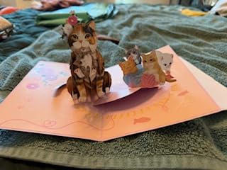 POPWOW Cat Tree Pop Up Card, 5x7 Inch 3D Greeting Card, Funny Cats Design for Cat Lovers, Birthday, Mother’s Day or Father’s Day, Includes Envelope & Note customer photo 1
