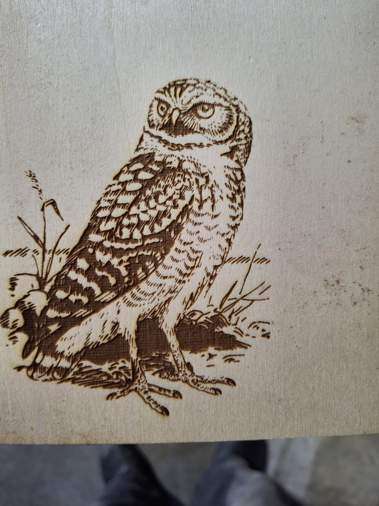 ATOMSTACK Swift 12W Laser Engraver Cutter for Wood & Metal customer photo 1