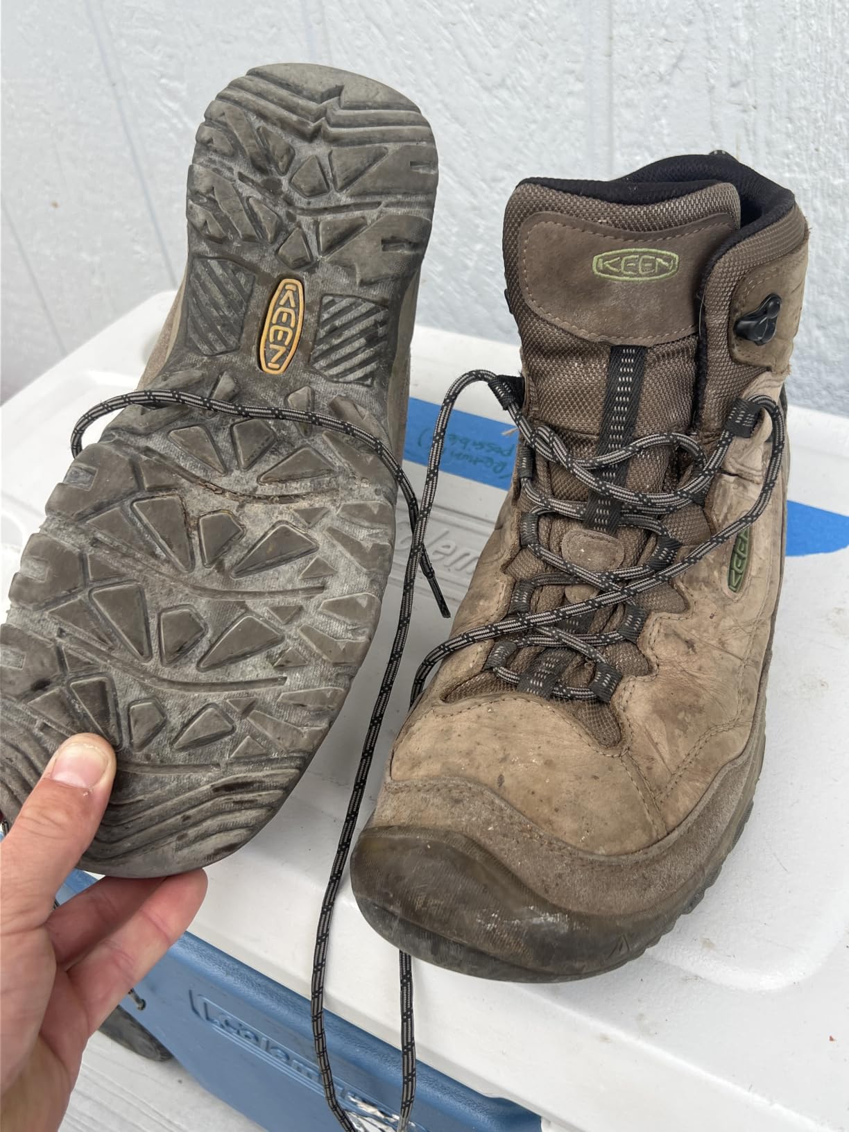 KEEN Men's Targhee 4 Mid Height Waterproof Hiking Boots customer photo 1