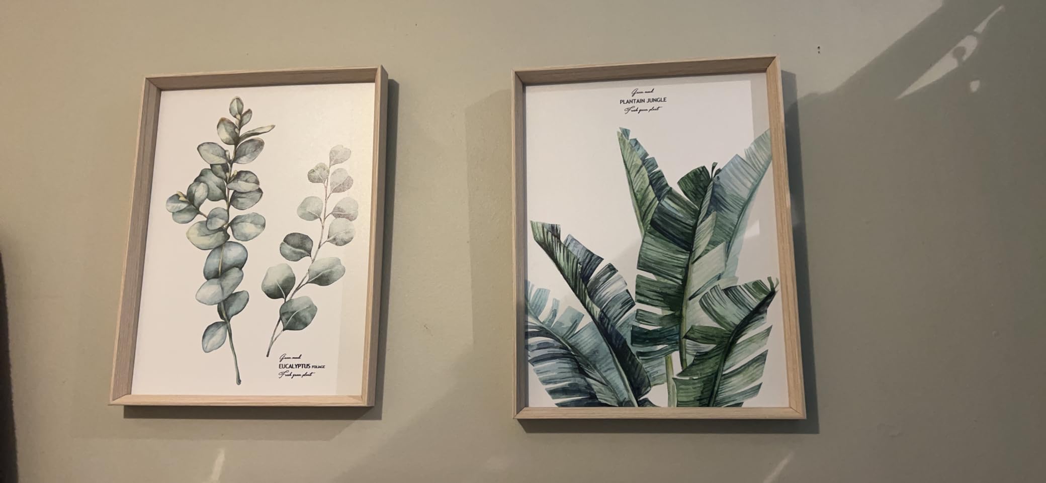 HesenDot Abstract Botanical Wall Art Set of 3, 30x40CM Neutral Plant Framed Canvas Prints, Beige Green Boho Aesthetic Wall Decor for Living Room Bedroom Bathroom Office Home customer photo 2