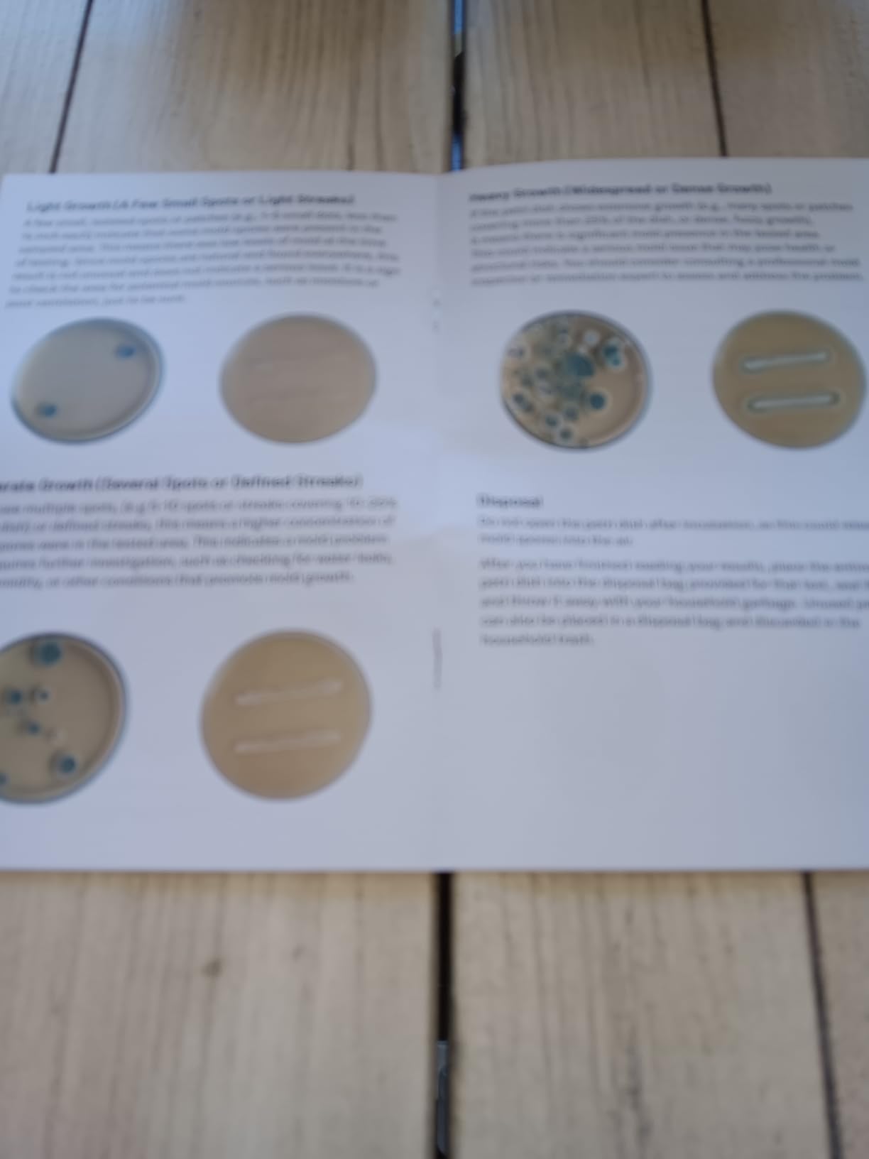 Varify Mold Test Kit for Home Air Quality | Air Quality Test Kit & Black Mold Detector for Home | 6-Petri-Dish Indoor Airborne Spore Sampler | Easy-to-Use with Clear Instructions & ID Booklet customer photo 1