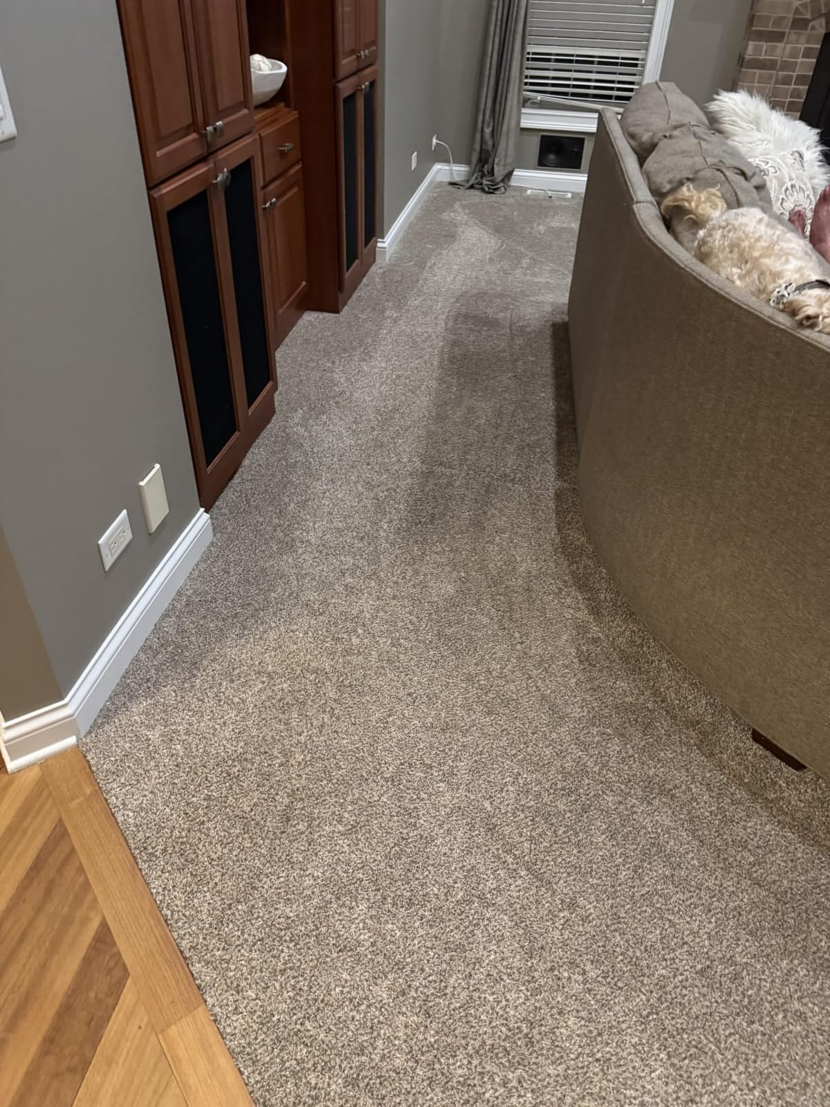 iRobot Roomba Max 775 Pet Robot Vacuum & Mop Combo, 30,000Pa Suction, Heated Mopping, Self-Cleaning Roller Mop, Retracting Mop Cover, Multifunction Dock, Heated Wash & Dry, AI Obstacle Avoidance customer photo 1