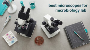 best microscopes for microbiology lab