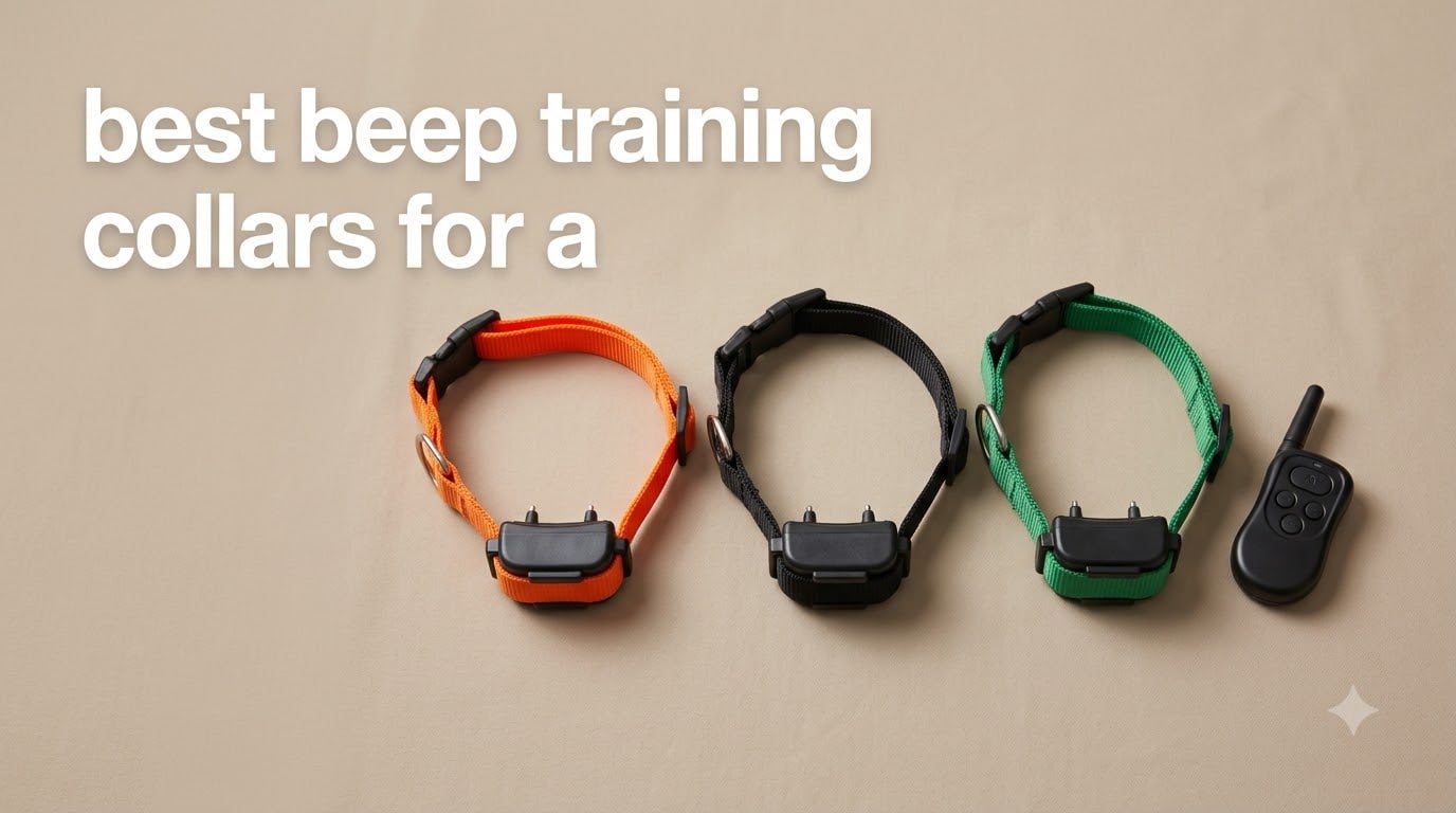 best beep training collars for a
