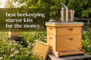 best beekeeping starter kits for the money