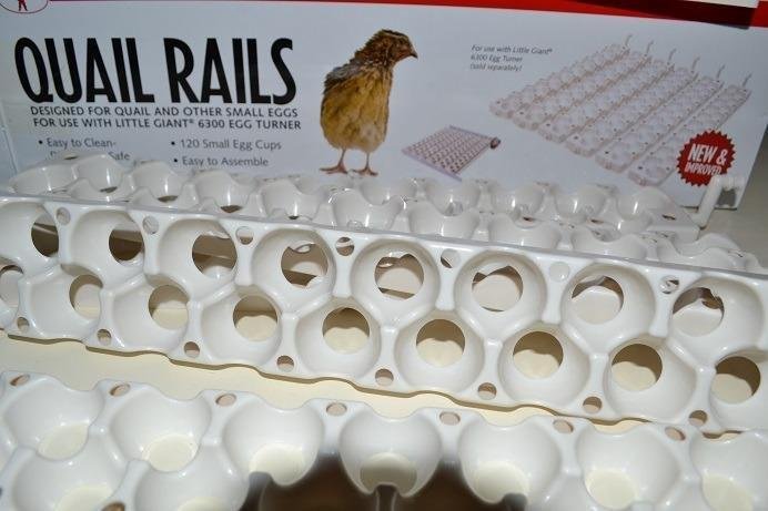 Little Giant® Quail Rails | 120 Eggs | Turner Equipment for Incubating Small Eggs | Quail Egg Incubator customer photo 1