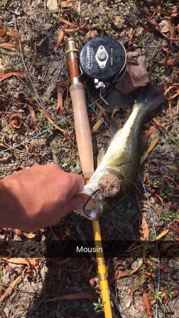 Eagle Claw, Featherlight Fly Rod, Freshwater, Length 2pc, 5-6 lb Line Rate. Medium Power customer photo 2