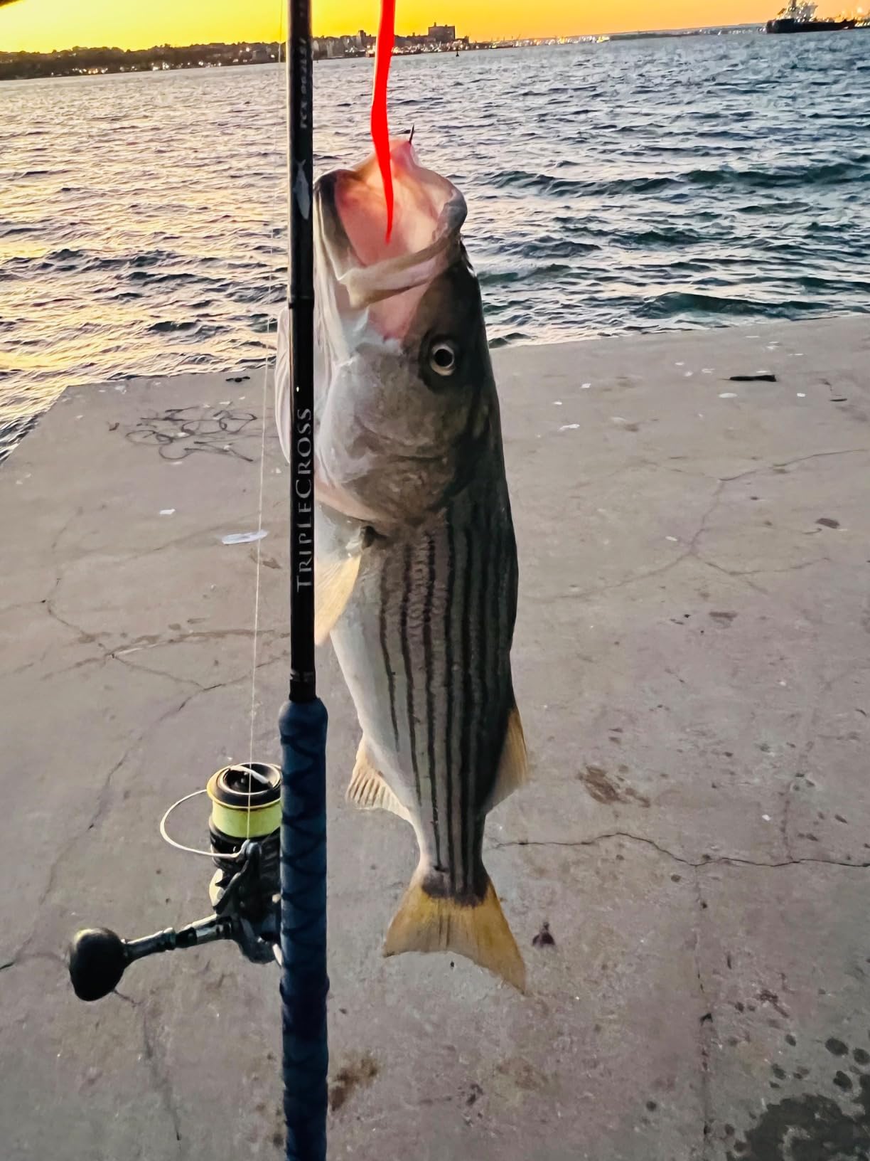 Berkley Trilene Big Game Monofilament Fishing Line customer photo 2