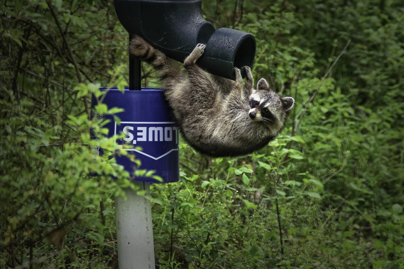 REDNEK Redneck Outdoors T-Post Gravity Feeder customer photo 1