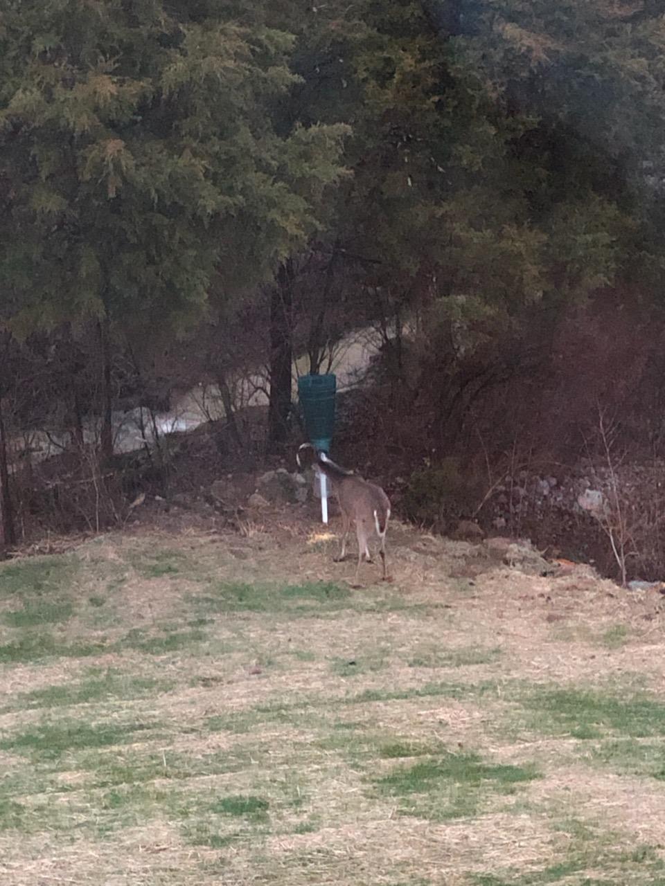 REDNEK Redneck Outdoors T-Post Gravity Feeder customer photo 2