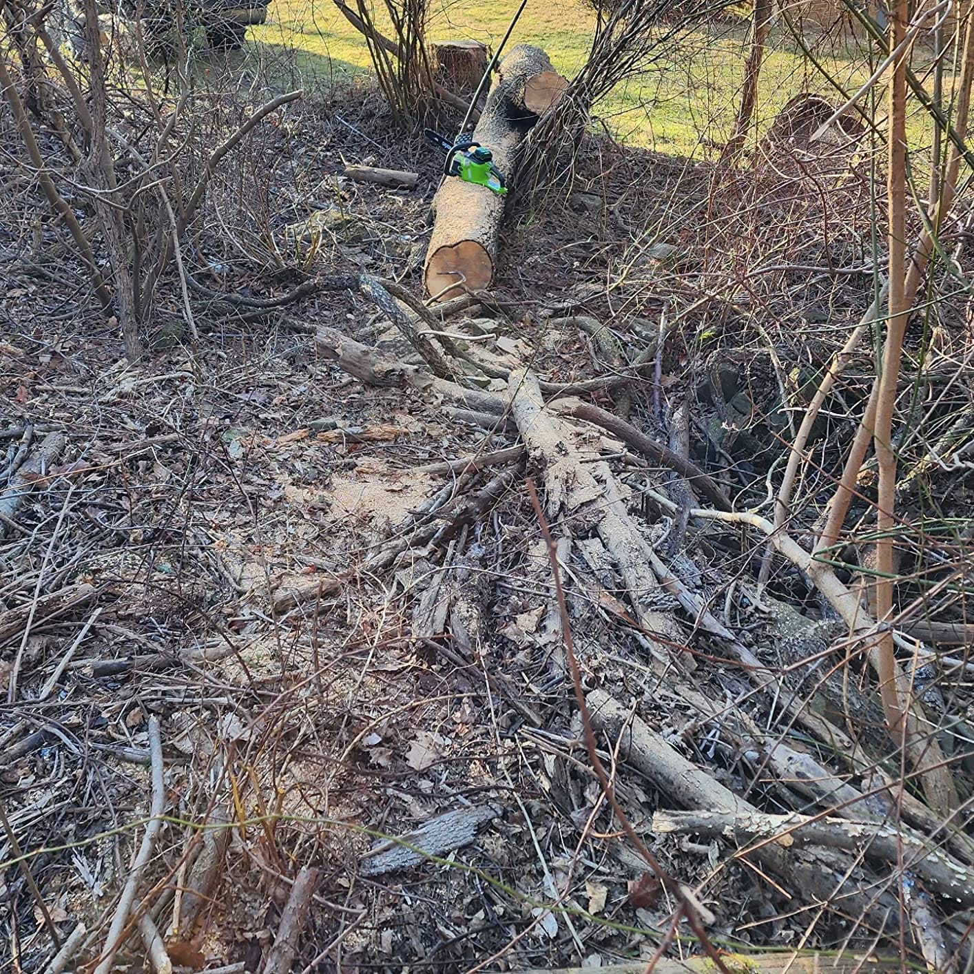 Greenworks 40V 16