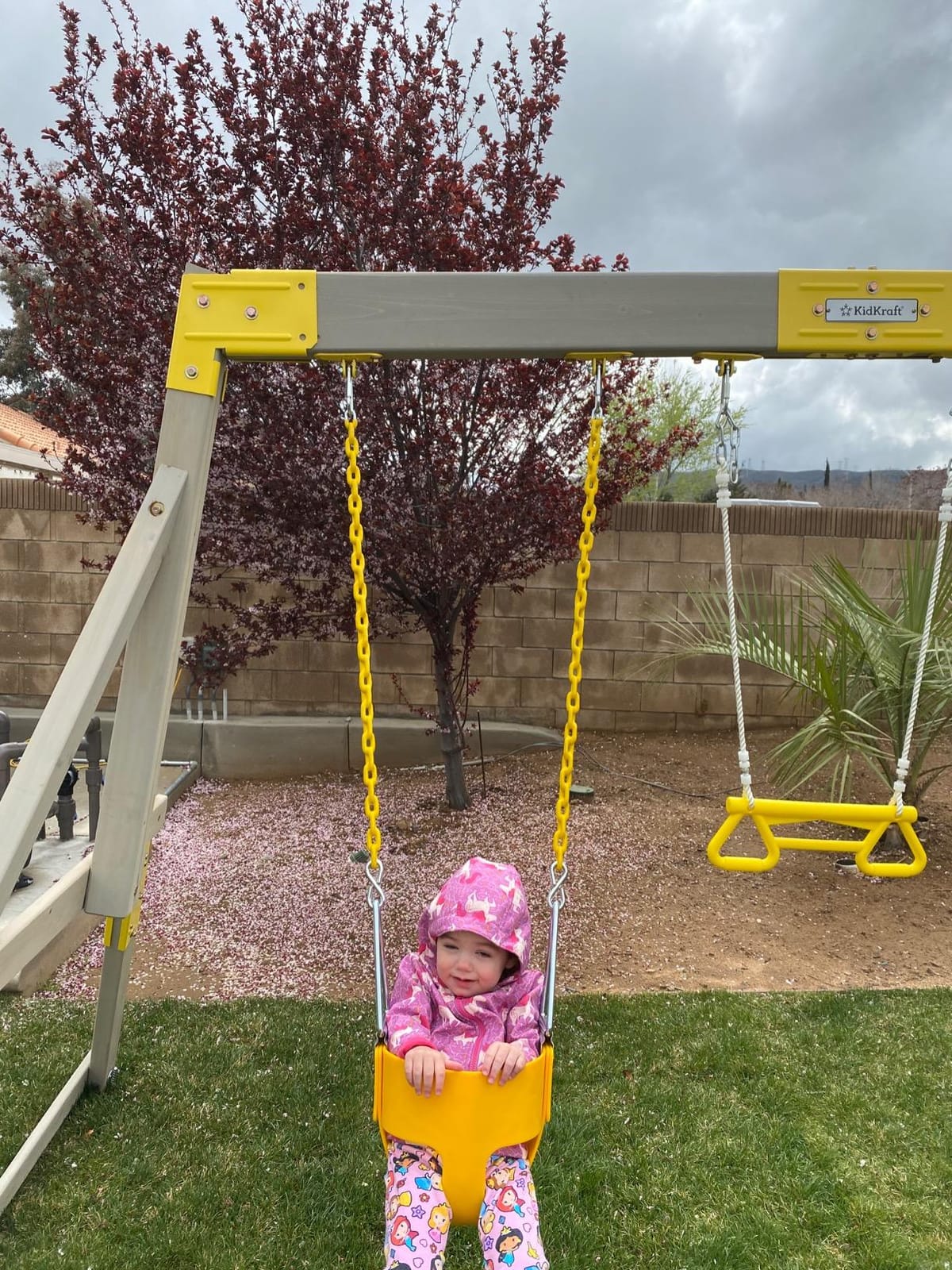 Gorilla Playsets 04-0008-G/G Full Bucket Toddler Swing, Bucket, Green 60