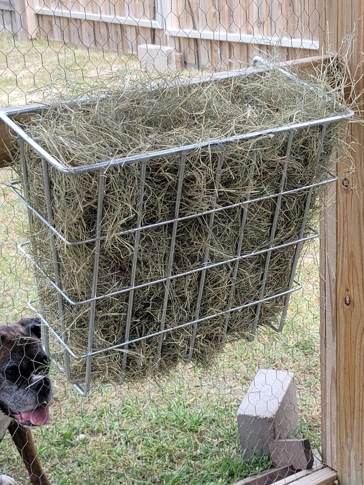 Premier 1 X-Tuff Single Sided Hay Feeder customer photo 1