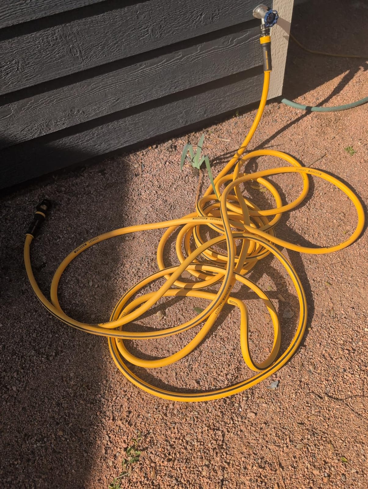 Stanley FATMAX Professional Grade Garden Hose, 50 Feet x 5/8 Inch, Yellow, 500 PSI customer photo 1