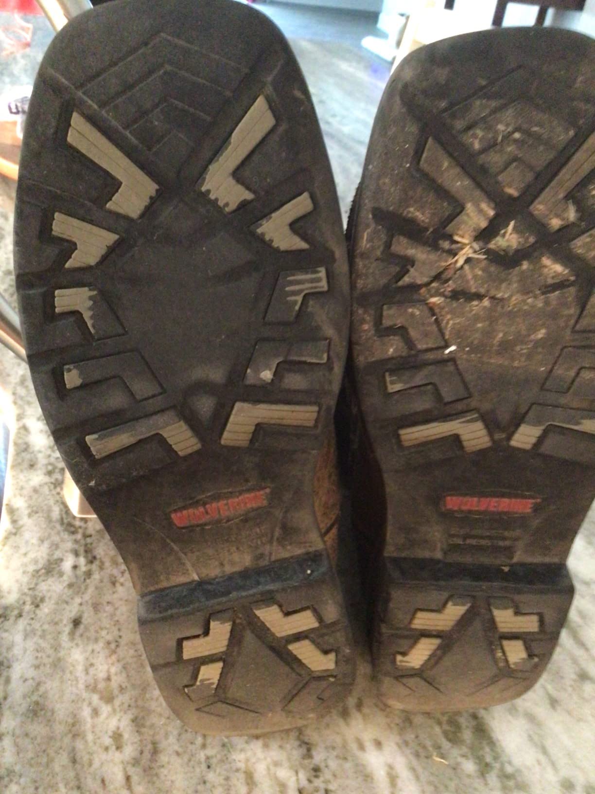 Wolverine Men's Rancher 10