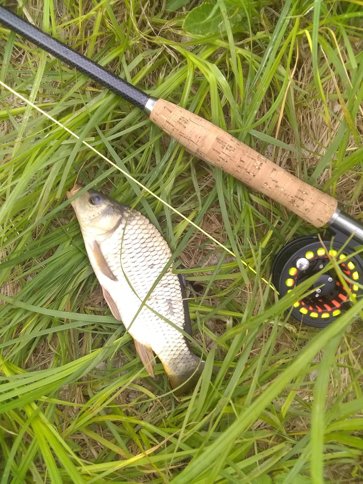 M MAXIMUMCATCH Maxcatch Extreme Graphite Fly Fishing Rod 4-Piece 9 Feet with IM6 Carbon Blank, Hard Chromed Guides, A Cork Grip (Size:3/4/5/6/7/8/10wt) customer photo 2