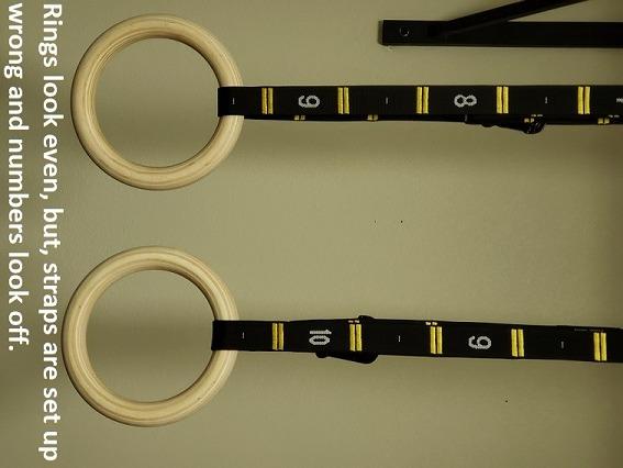 Double Circle Gymnastics Rings with Straps, Calisthenics Wooden Rings (Multi-Size) customer photo 2