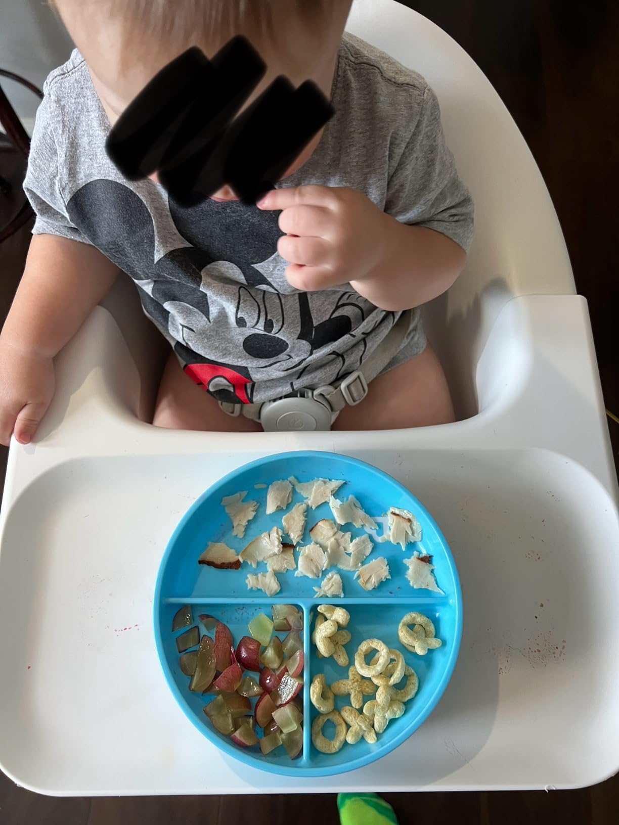 Munchkin Stay Put Suction Plates, 3 Divided Sections, Blue/Green customer photo 2