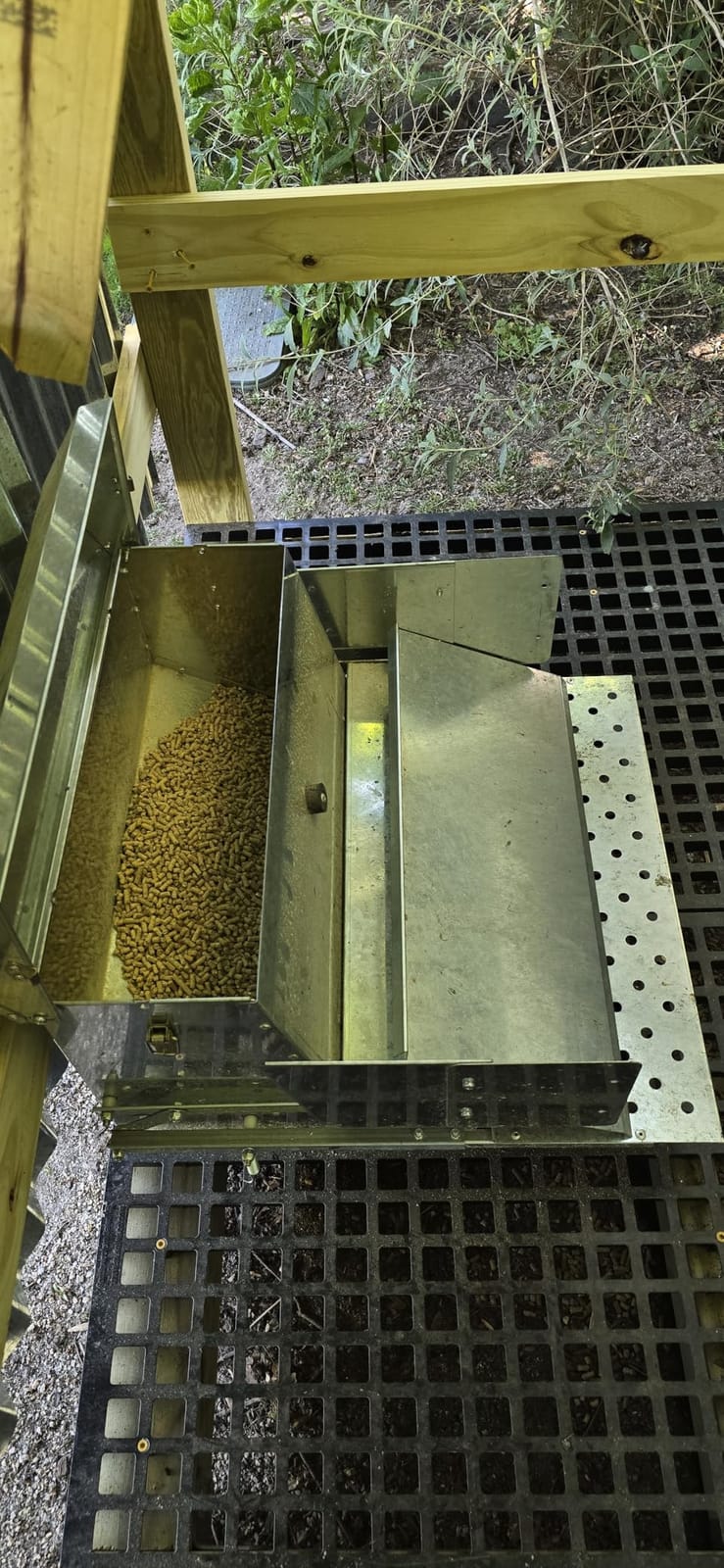 RentACoop Automatic Treadle Chicken Feeder, Rat Proof No Waste, 25 lb customer photo 2